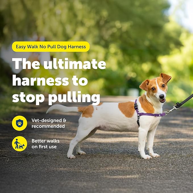 PetSafe Easy Walk Harness for Dogs - Pull-Free Walks - Patented Martingale Loop Design - Front Chest Leash Attachment - Comfort Straps - Breathable Harness Design - Small, Deep Purple/Black