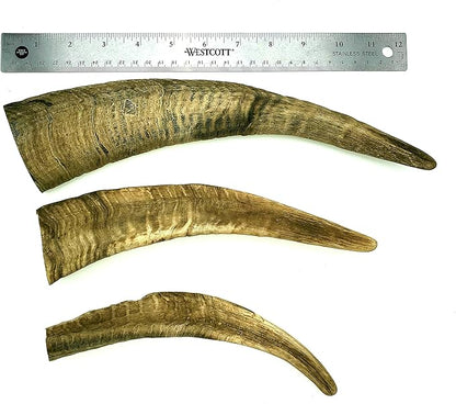 Chews Dried Goat Horns Dog Chew Large 1 pc.