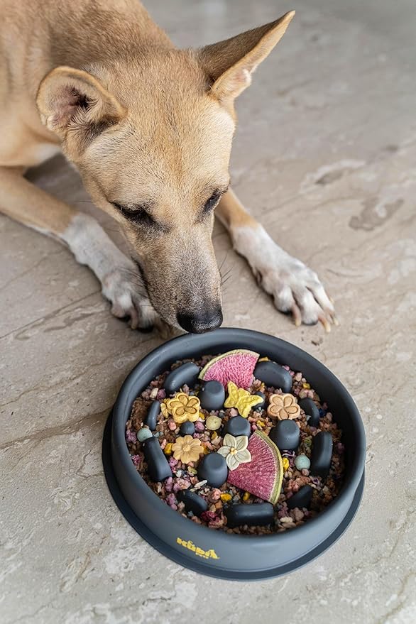 Slow Mo Bowl | Slow Feeder Dog Bowl for Fast Eaters, Improves Digestion & Reduces Bloating, Fun Interactive Design, & Dishwasher Safe | Kubi Pets
