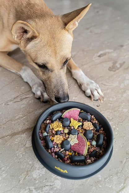 Slow Mo Bowl | Slow Feeder Dog Bowl for Fast Eaters, Improves Digestion & Reduces Bloating, Fun Interactive Design, & Dishwasher Safe | Kubi Pets