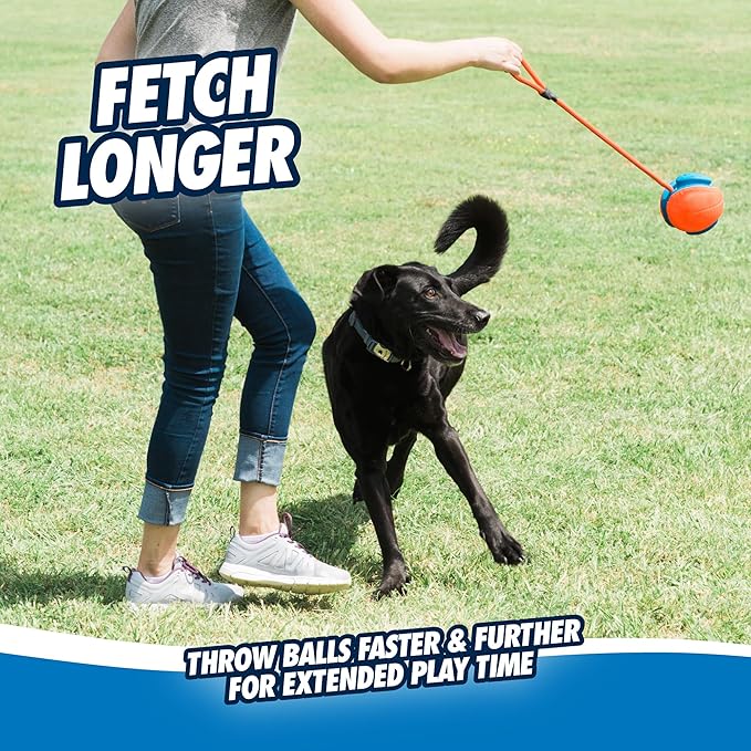 Chuckit! Rope Fetch Dog Toy - Ball on Rope Fetch and Tug-of-War Toy for Dogs - Durable EVA Rubber Construction - 5.5-inch Diameter - 18-inch Rοpe - Orange and Blue