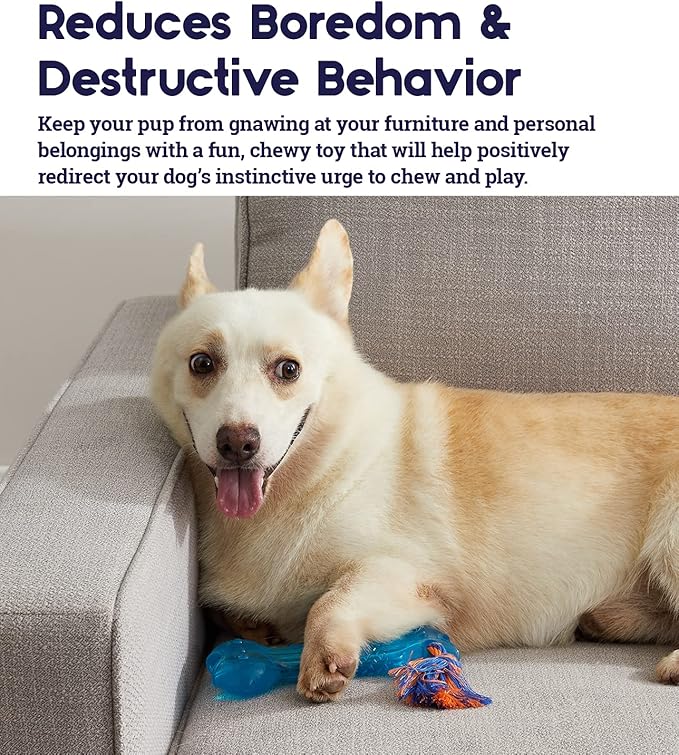 Petstages Orka Bone Royal Blue Treat-Dispensing Dog Chew Toy