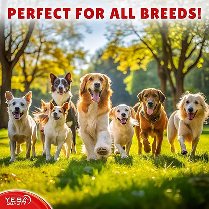 YES4QUALITY Dog Chew Toy - Durable Chew Bone for Medium and Large Dogs - 13", Red - Tough Rubber Tug of War Bone Pet Toy for Aggressive Chewers - Bumpy Design for Puppy Teething