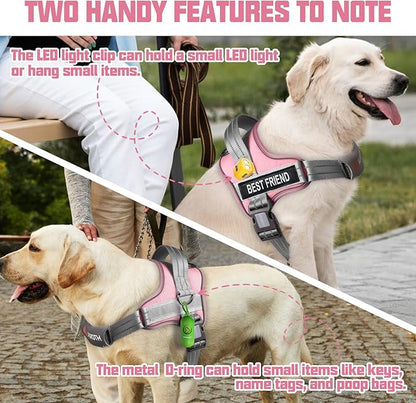 AUROTH Dog Harness and Leash Set, Soft Padded Service Dog Vest with 5.25FT Dog Leash, No Choke, Easy On Pet Vest, Adjustable Reflective No Pull Dog Harness Small Sized Dog, Easy Walking and Training