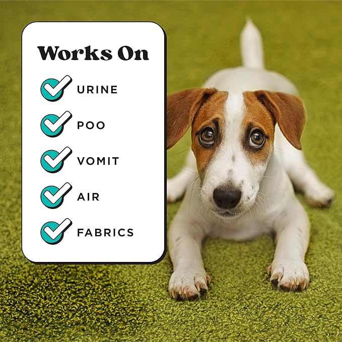 Pet-Pourri Pet Odor Air + Fabric Odor Freshener Spray, Pawsitively Fresh, 16 Fl Oz (Pack of 2)