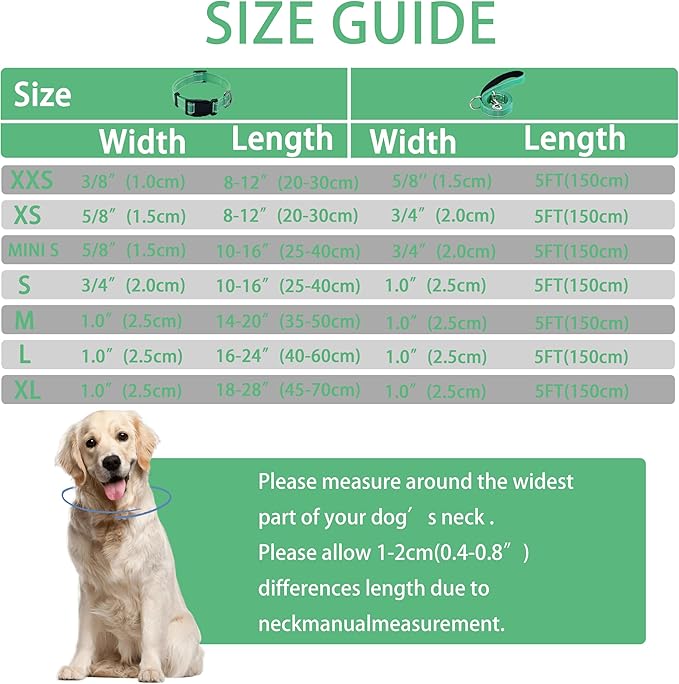 Reflective Dog Collar with Safety Locking Buckle, Adjustable Soft Breathable Nylon Collars for Small, Medium and Large Dogs(Collar+Leash XS Width 5/8" Turquoise)