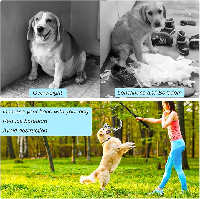 Flirt Pole for Dogs Outdoor Chase Toy Interactive Flirt Pole for Outdoor Exercise & Training Heavy Duty Dog Teaser Wand with Rope Durable Dog Fishing Pole Toy Flirt Stick for Small & Medium Dogs