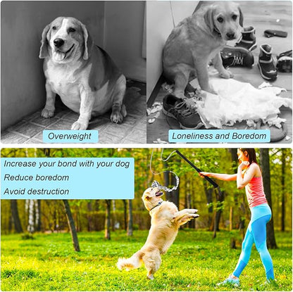 Flirt Pole for Dogs Outdoor Chase Toy Interactive Flirt Pole for Outdoor Exercise & Training Heavy Duty Dog Teaser Wand with Rope Durable Dog Fishing Pole Toy Flirt Stick for Small & Medium Dogs