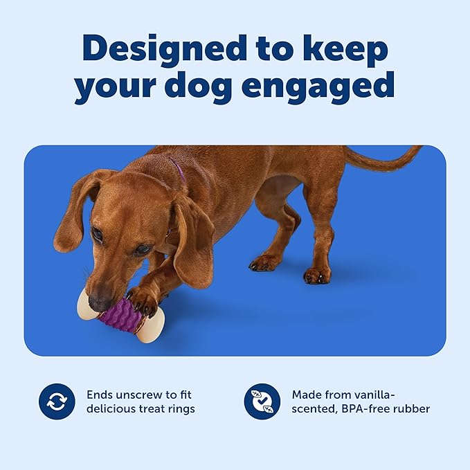 PetSafe Busy Buddy Nobbly Nubbly Treat Holding Dog Toy - Boredom Relief for Strong Chewers - Durable Nylon Build - Dishwasher Safe Design - Includes Treat Rings - Engaging Pet Puzzle - Purple - Medium