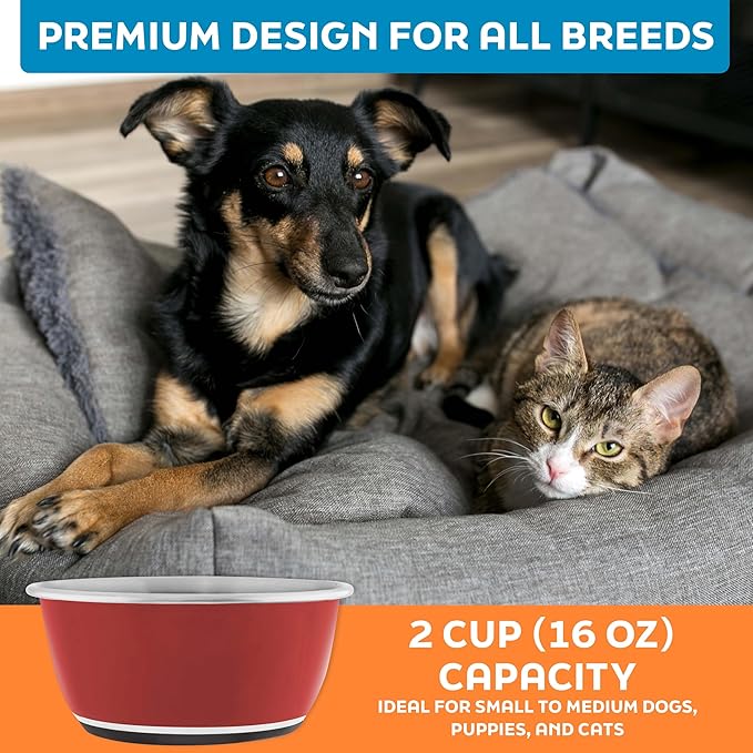 Master Pet Supply Stainless Steel Dog Bowls Set of 2 (16 Oz Each) with Non-Slip Rubber Base - Crimson Flame - Basic Dog Food Bowl Water & Food Bowls for Small Medium Large Dogs & Cats, Metal Dish