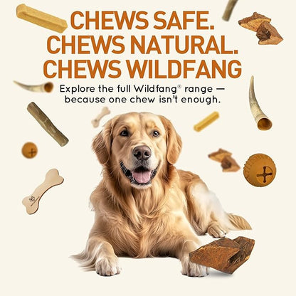 Wildfang® Briar Wood Chewing Root, XXL - Splinter Free Wood Dog Chew Toys for Aggressive Chewer, Odorless Natural Teething Toys Dogs Dental Health, Healthy Gums (for Dogs Over 132 lbs), Pack of 1