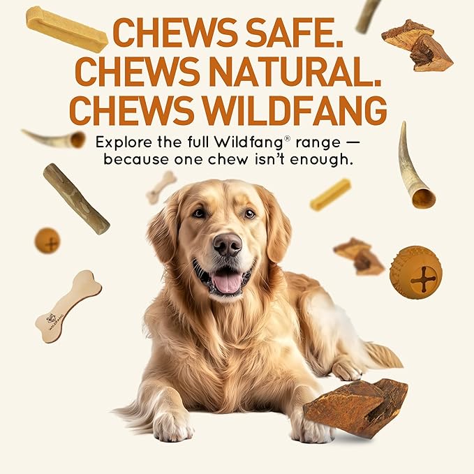 Wildfang® Briar Wood Chewing Root, Small - Splinter Free Wood Dog Chew Toys for Aggressive Chewer, Odorless Natural Teething Toys Dogs Dental Health, Healthy Gums (for Dogs Under 33 lbs), Pack of 3