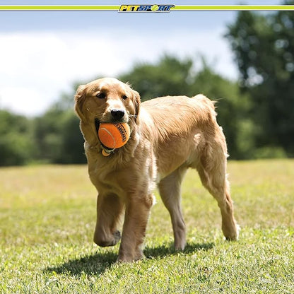 PetSport Giant Squeaker Tuff Ball - Giant Tennis Balls for Large Dogs, Great for Boredom & Aggressive Chewers, Dog Toy, Non-Toxic, Won't Wear Down Teeth - 4"(3 Pack)
