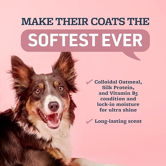 Veterinary Formula Moisturizing Ultra Oatmeal Shampoo & Conditioner Bundle for Dogs & Cats with Colloidal Oatmeal & Jojoba, Leaves Coat Soft, Shiny & Hydrated, 2 x 17 Fl Oz Bottles