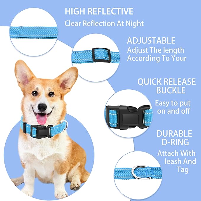 Reflective Dog Collar with Safety Locking Buckle, Adjustable Soft Breathable Nylon Collars for Small, Medium and Large Dogs(Collar+Leash XS Width 3/8" Sky Blue)