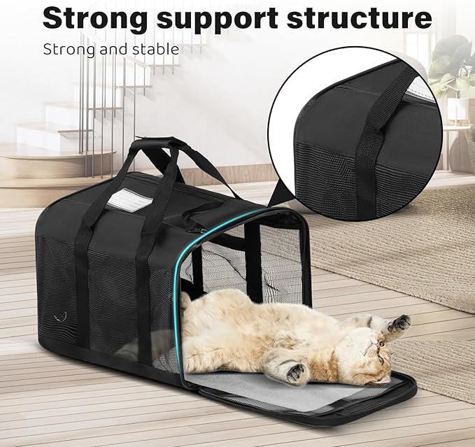 Simple Deluxe Airline-Approved Cat Carrier, 17" x 12" x 12", Soft-Sided Pet Carrier for Cats up to 17 lbs, Durable & Collapsible Travel Carrier, Black