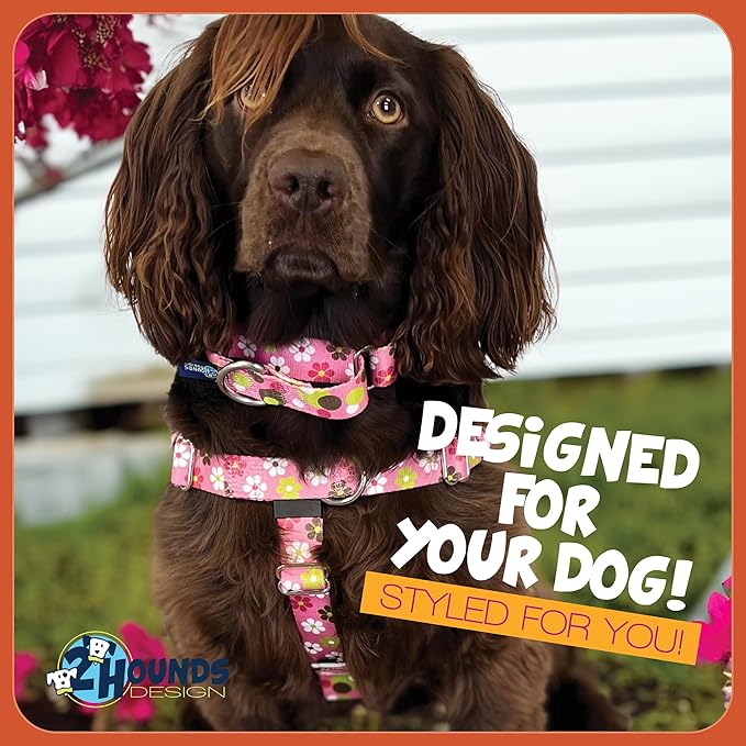 2 Hounds Design - Freedom No-Pull Harness & Training Leash in Pink Daisy | Dual Leash Loops, No Pulling on Walks | Lined to Prevent Chaffing | for Small Sized Dogs (Size S, Chest 20”- 24”)