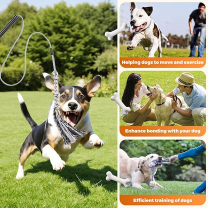 Pragmatist Outdoor Flirt Pole for Dog, Detachable Dog Flirt Pole Heavy Duty Sturdy Pet Toys for Outdoor Exercise & Training Durable Teaser Wand Interactive Toy for Small Medium Large Dogs, Black