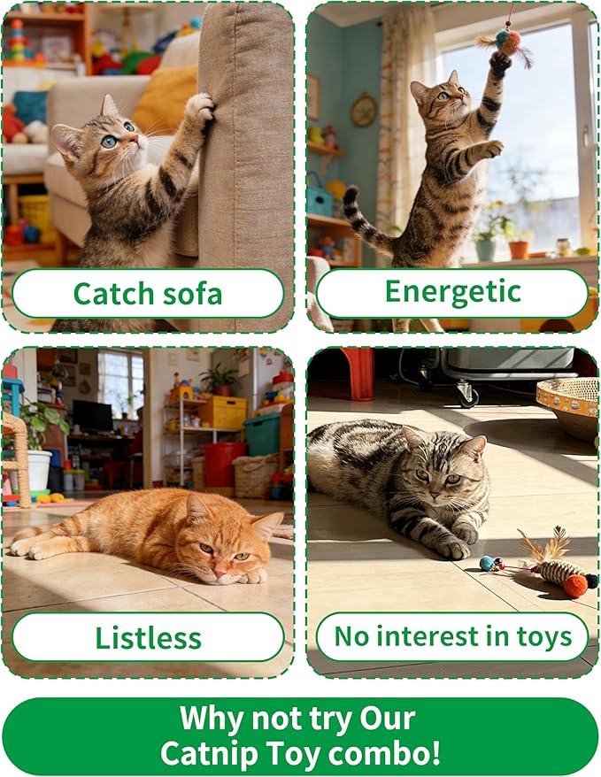 PET SHOW 12 Pack Catnip Toys for Indoor Cats Crinkle Toy Balls Natural Silvervine Sticks Interactive Catnip Fether Balls Cat Nip Mice&Fish Kitten Paw Lollipops Organic Chew Toys Kitty Teething Toy