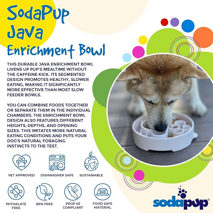 SodaPup Java Enrichment Bowl – Durable Enrichment Feeder Made in USA from Non-Toxic, Pet-Safe, Food Safe Material for Mental Stimulation, Slowing Down Eating, Healthy Digestion, & More