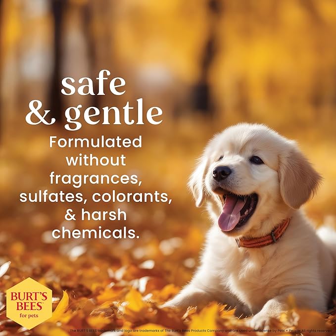 Burt's Bees for Pets Gentle Cleansing Puppy Wipes with Buttermilk, 98% Natural Origin Formulas, Hypoallergenic Dog Wipes Cleaning, Dog Cleaning Wipes, Dog Wipes for Paws and Butt, 50ct