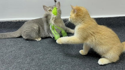 3 cat Toys. Cat Claw Game Tool. Feather Toys for Chasing Games