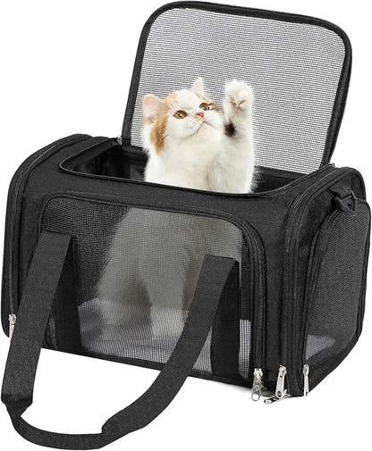Discala Cat Dog Carrier Up to 15 Lbs TSA Airline Approved Pet Carrier for Small Medium Cats Puppies Dog Carriers for Small Dogs Collapsible Soft Sided Cat Travel Carrier - Black 15.7"x10.2"x10.2"