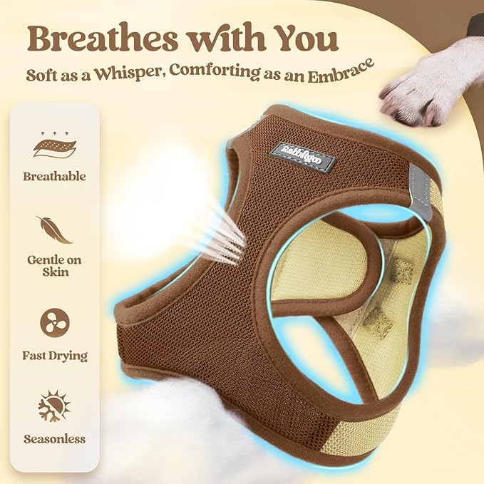 rabbitgoo Dog Harness Small Sized and Leash Set, Step in Soft Light Puppy Vest, Breathable Mesh Pet Harness, Reflective for Safe Easy Walking, Brown & Beige XXS