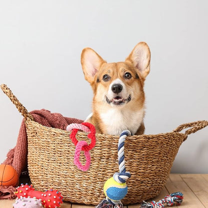 Zhanmai 3 Pieces Valentine's Day Interlocking Heart Rope Colorful Valentine Dog Toy Cotton Dog Rope Chewing Toys for Puppies Dogs Chew Toys for Small Medium Dogs, Pink and Red