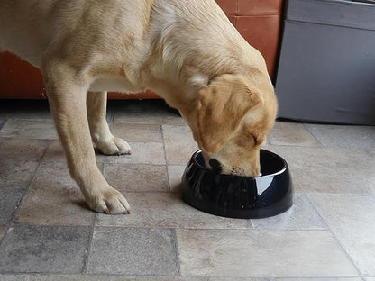 Rosewood Anti-Scoff Slow Feeder Dog Bowl – Medium Heavy-Duty Melamine Food Bowl for Small to Medium Breeds – Aids Digestion & Reduces Gulping – Slip-Resistant, Durable & Easy to Clean – Black