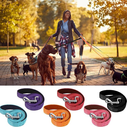 6 Pieces Dog Leash Bulk for Medium and Large Dog, Heavy Duty Nylon Pack Dogs Leashes Padded Handle Double Sided Reflective Puppy Collar for Walking, Training, 5 Feet(Classic)