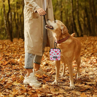 Dog Treat Pouch with Training Clicker,Waterproof Nylon Fabric Poop Bag Holders for Leashes,Hands Free Small Dog Walking Bag with Carabiner, Pet Puppy Training Walking Essentials (Watermelon)