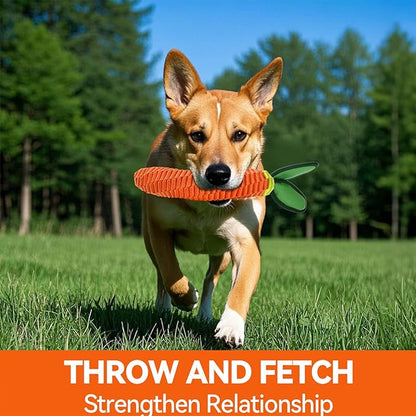 AUSCAT Carrot Dog Toy, Rope Toys for Dogs, Durable Tug of War Toy with Squeaker, Braided Rope Dog Toy, Braided Teething Toys for Small and Medium Dogs, not for Aggressive Chewers