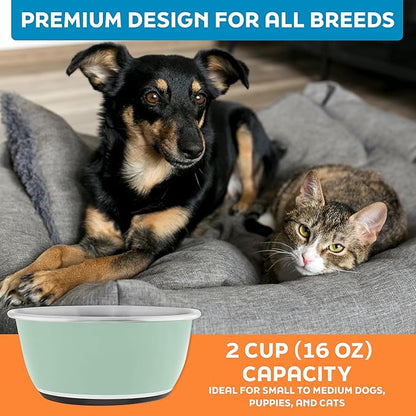 Master Pet Supply Stainless Steel Dog Bowls Set of 2 (16 Oz Each) with Non-Slip Rubber Base - Pistachio - Basic Dog Food Bowl Water & Food Bowls for Small Medium Large Dogs & Cats, Metal Dish