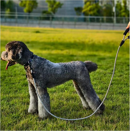 MayPaw 6ft Heavy Duty Rope Dog Leash, Soft Padded Handle Nylon Pet Leash, Thick Walking Lead Leashes for Large Medium Dogs (Black White, 1/2" * 6')