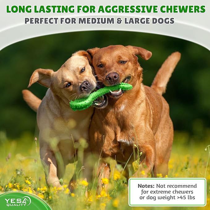 YES4QUALITY Dog Chew Toy - Durable Chew Bone for Medium & Large Dogs - 13", Green - Tough Rubber Tug-of-War Bone Pet Toy for Aggressive Chewers - Bumpy Design for Puppy Teething