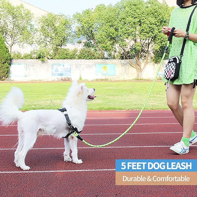 BAAPET 2/4/5/6 FT Dog Leash with Comfortable Padded Handle and Highly Reflective Threads for Small Medium and Large Dogs (5FT-1/2'', Green)
