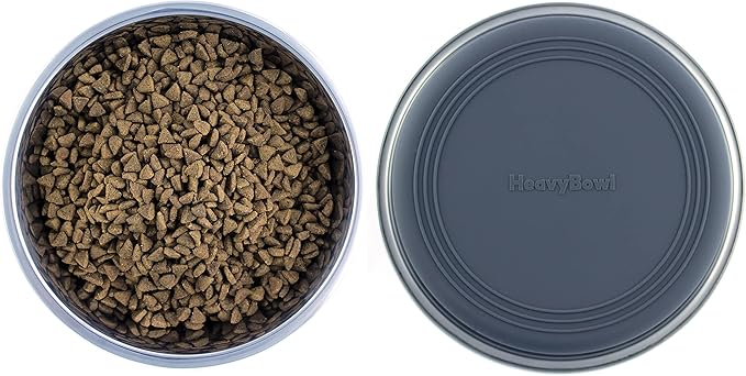 2.5 lb Weighted Dog Bowl - No Slip, No Tip - Heavy Stainless Steel Dog Bowl with Silicone Rubber Foot