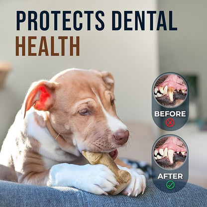 Real Gorilla Chew Toys - Coffee Wooden Toys for Small Dog Over 18lbs - 100% Natural Dog Toys - Teeth Cleaning, Reduce Anxiety in Puppy Dogs - Mental Stimulation