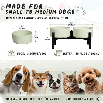 Ceramic Elevated Dog Bowl Set - Dog Feeder Station with Cute-Style Double Bowls for Small and Medium Size Breed - Non-Slip Raised Dish for Food and Water Feeding- 6 Inch - 3.5 Cups / 20 fl oz - Green