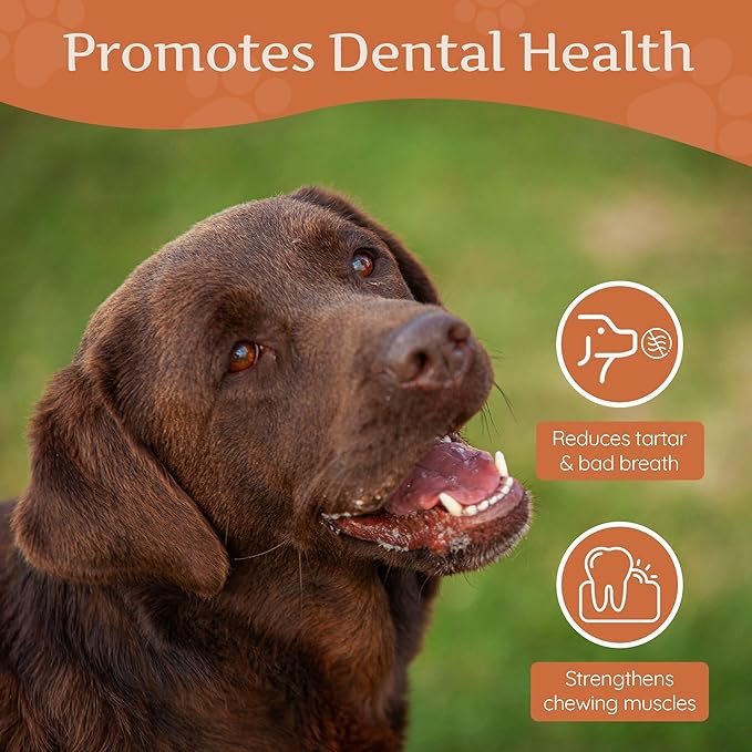 Wildfang® Briar Wood Chewing Root, Large - Splinter Free Wood Dog Chew Toys for Aggressive Chewer, Odorless Natural Teething Toys Dogs Dental Health, Healthy Gums (for Dogs 55-99 lbs), Pack of 1