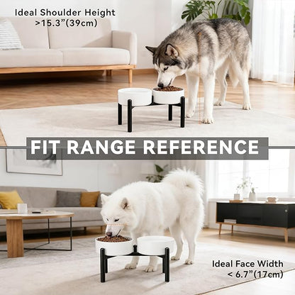 Dog Bowls Elevated - Ceramic Raised Dog Bowl with Non Slip Steel Stainless Stand - No Spill and Heated Feeding Station - Food and Water Dish Set for Medium to Large Pet - Each Holds 7.5 Cups – Green