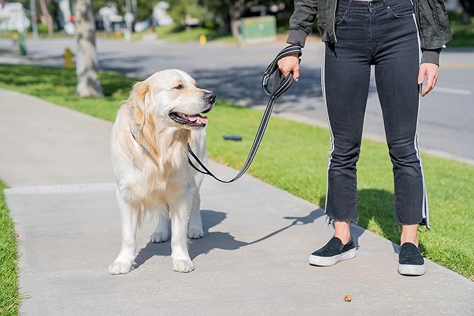 Shed Defender 5 ft. Standard Dog Leash - Three Padded Traffic Handles, Designed in the USA, Dual Layered Thickness Heavy Duty, Reflective Stitching, Large Dogs & Small Breed, Training Lead (Red)