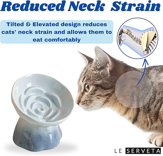 Elevated Ceramic Cat Bowl, Tilted Slow Feeder Pet Dish with Gradient Color Coating, 3.3 Ounces Capacity, Anti-Gulping Design with Rose Bouquet Design (Gradient Blue)