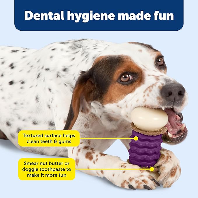 PetSafe Busy Buddy Nobbly Nubbly Treat Holding Dog Toy – Strong Chewers – Challenging - Treat Rings Included - Large