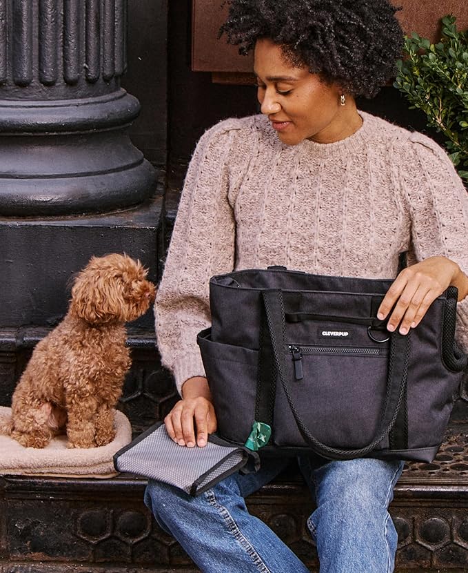Cleverpup Transit Tote Dog Carrier for Small Dogs Under 8 lbs, 16x11x8 Soft-Sided 4-Pc Set with Waterproof Base, Plush Insert, Food Pouch, Mesh Head Opening - Small, Graphite Graphite