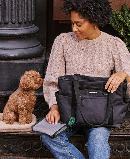 Cleverpup Transit Tote Dog Carrier for Small Dogs Under 8 lbs, 16x11x8 Soft-Sided 4-Pc Set with Waterproof Base, Plush Insert, Food Pouch, Mesh Head Opening - Small, Graphite Graphite