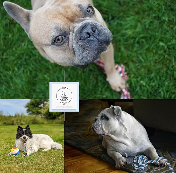 16 Pcs Small Dog Rope Toys, Puppy Tug of War Toy Set for Small Breeds 0-15 Lbs, Cotton Dog Tug Toys for Boredom, Teething & Interaction