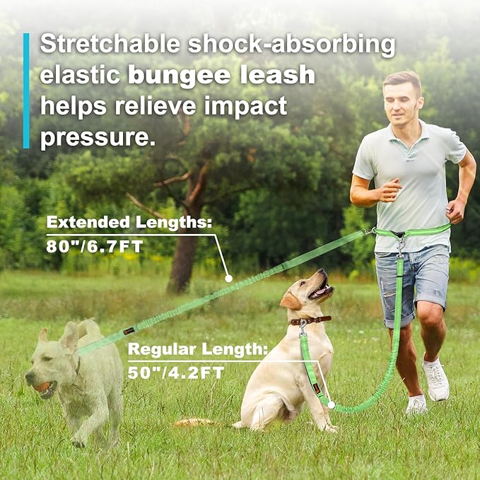 Hands Free Dog Leash, Adjustable Waist Leash for Dog Walking, Dual Bungee Dog 4.2-6.7 Feet Long with Reflective Stitches for Walking Hiking Running, Fits 26"- 43" Inch Waist, Green