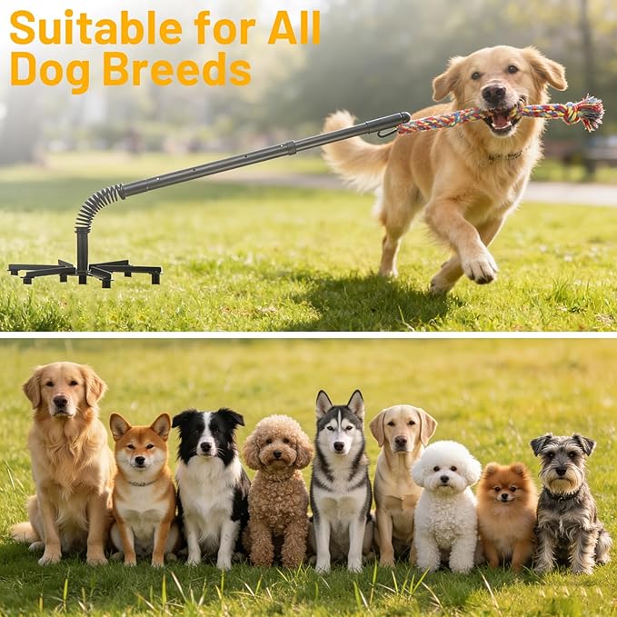 Tether Tug Outdoor Dog Toy,Tether Tug For Large Dogs,Spring Pole For Dogs in Park,Yard,Lawn,2 Rope Toy and Bell Pull Chase and Solo Play,Tether Interactive Dog Tug Toy,For Medium Small Dogs(Black)